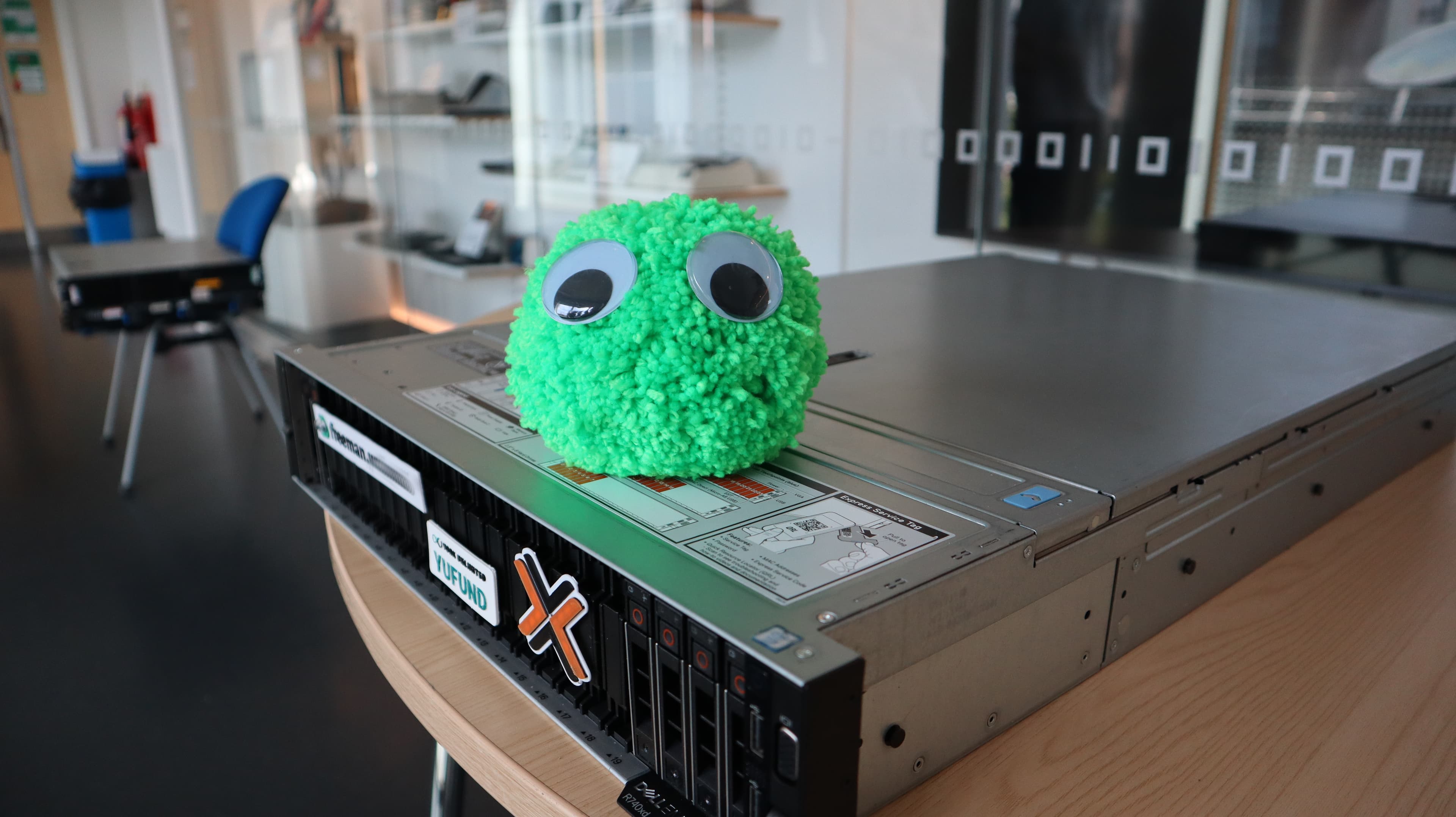 A photograph of the new server Freeman with bob the bug sitting on top
